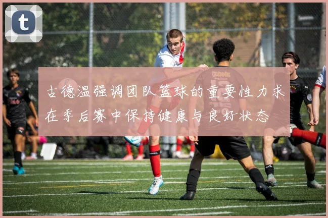 古德温强调团队篮球的重要性力求在季后赛中保持健康与良好状态