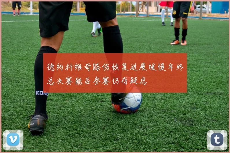 德约科维奇膝伤恢复进展缓慢年终总决赛能否参赛仍存疑虑