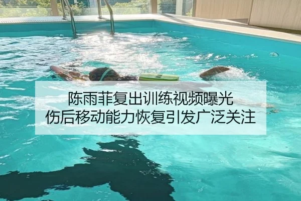 陈雨菲复出训练视频曝光 伤后移动能力恢复引发广泛关注